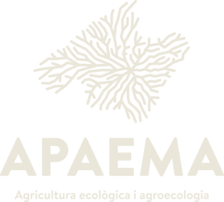 apaema blanc apaema blanc